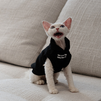 Kapuljačasta vest s plišanim podšitkom za bezdlaku mačku (Sphynx, Devon Rex)