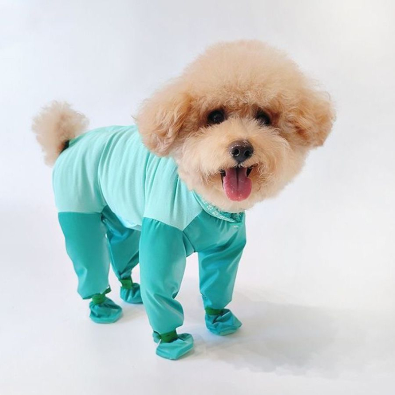 Odeća za psa s četiri noge, zaštita od prljavštine i urina, za male pasmine (Teddy/Bichon) vanjsko nošenje