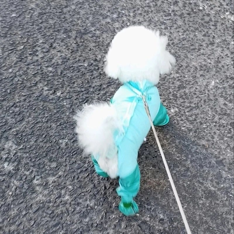 Odeća za psa s četiri noge, zaštita od prljavštine i urina, za male pasmine (Teddy/Bichon) vanjsko nošenje
