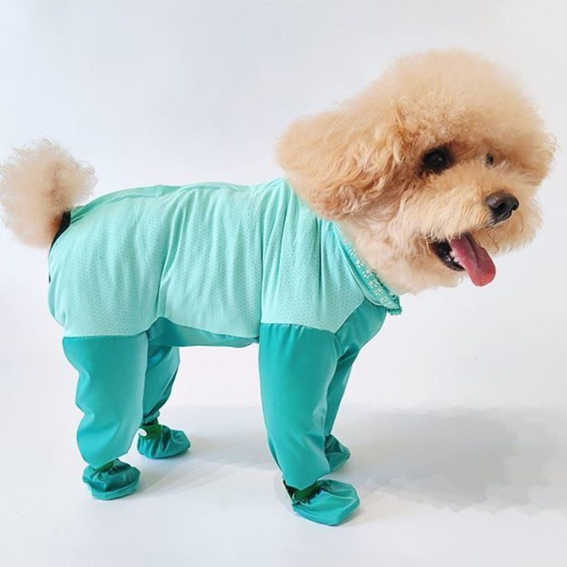 Odeća za psa s četiri noge, zaštita od prljavštine i urina, za male pasmine (Teddy/Bichon) vanjsko nošenje