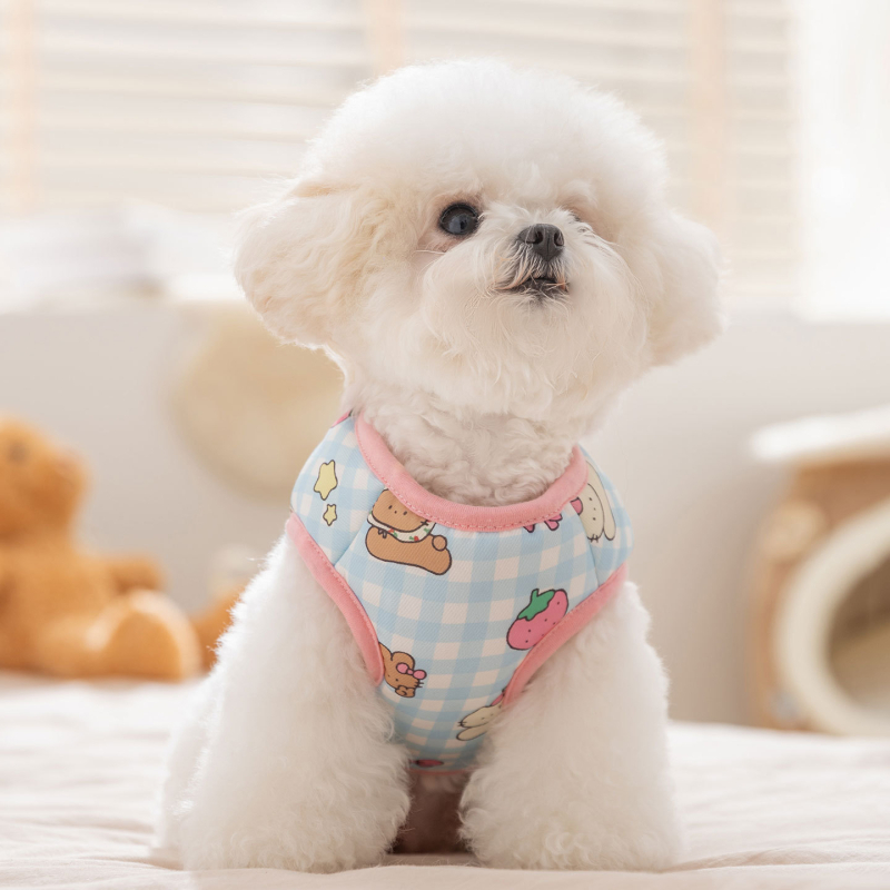 Teddy prsluk za pse male i srednje veličine te mačke, jesen-zimski stil