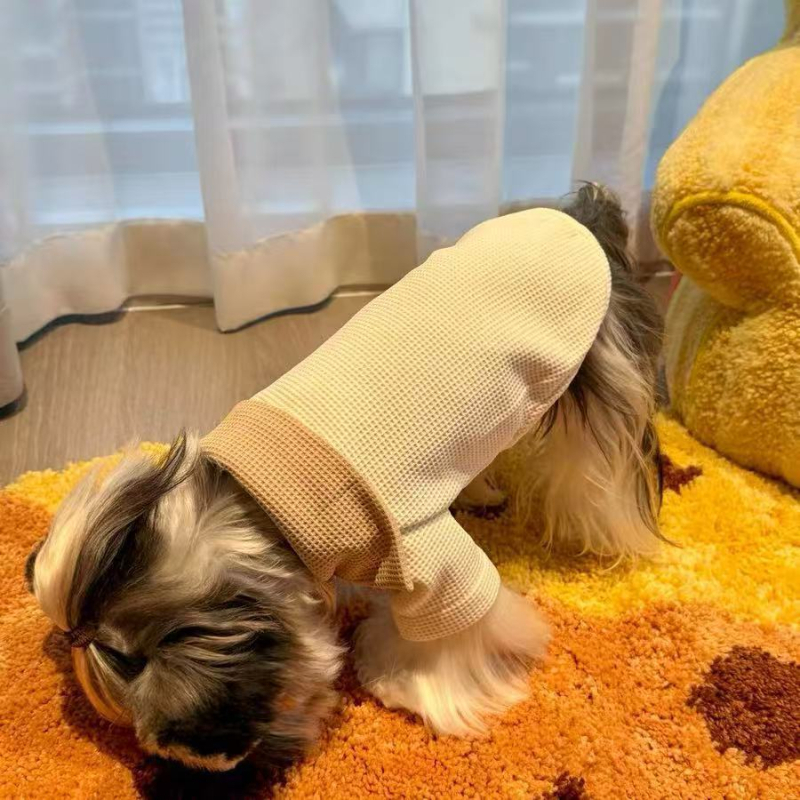 Odjeća za Maltese i Bichon Frise: jesensko-zimska vest-sweatshirt za šetnje