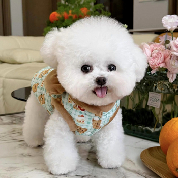 Pamukasto kaput za male pse — Toy Poodle, Yorkshire Terrier, Pomeranian, Bichon Frisé, jesen-zimska odjeća