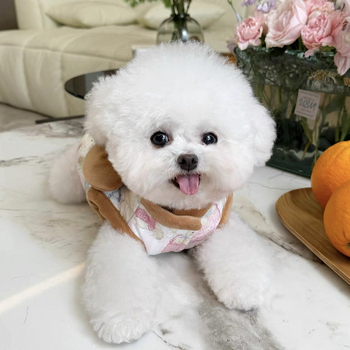 Pamukasto kaput za male pse — Toy Poodle, Yorkshire Terrier, Pomeranian, Bichon Frisé, jesen-zimska odjeća