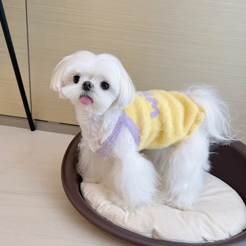Pletena vesta za kućne ljubimce – za male pse, jesen/zima, Toy Poodle, Bichon Frise, Pomeranian