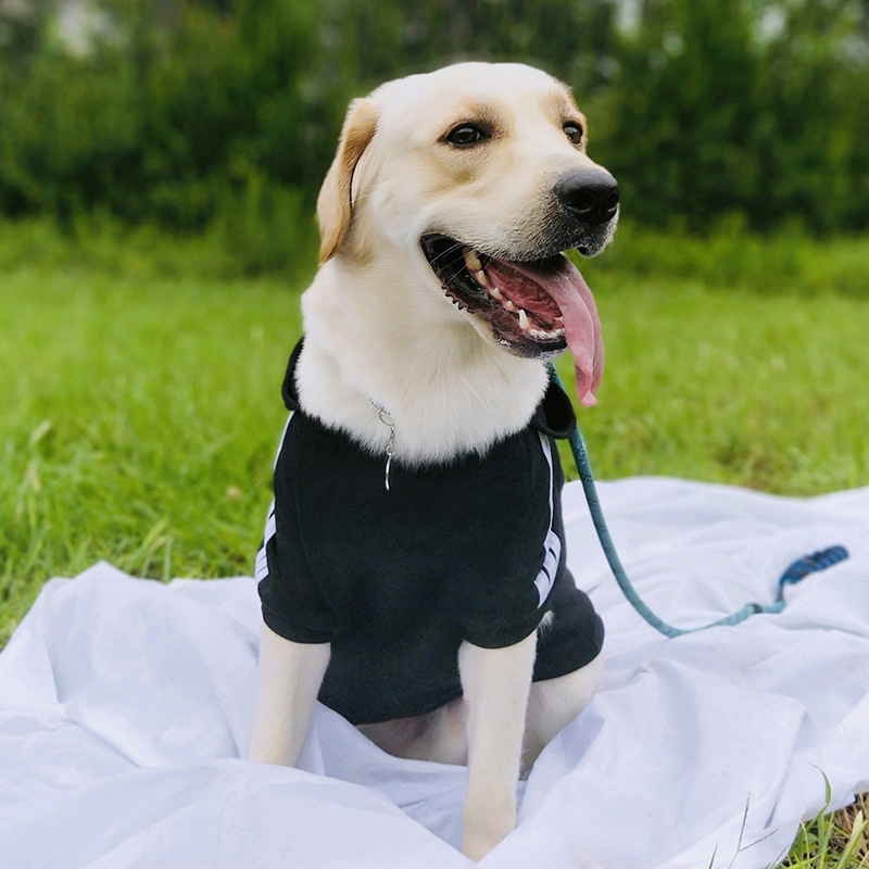 Pulover za pse od poliestera, debeli zimski dizajn s mitskim stvorenjem, unisex odjeća za kućne ljubimce