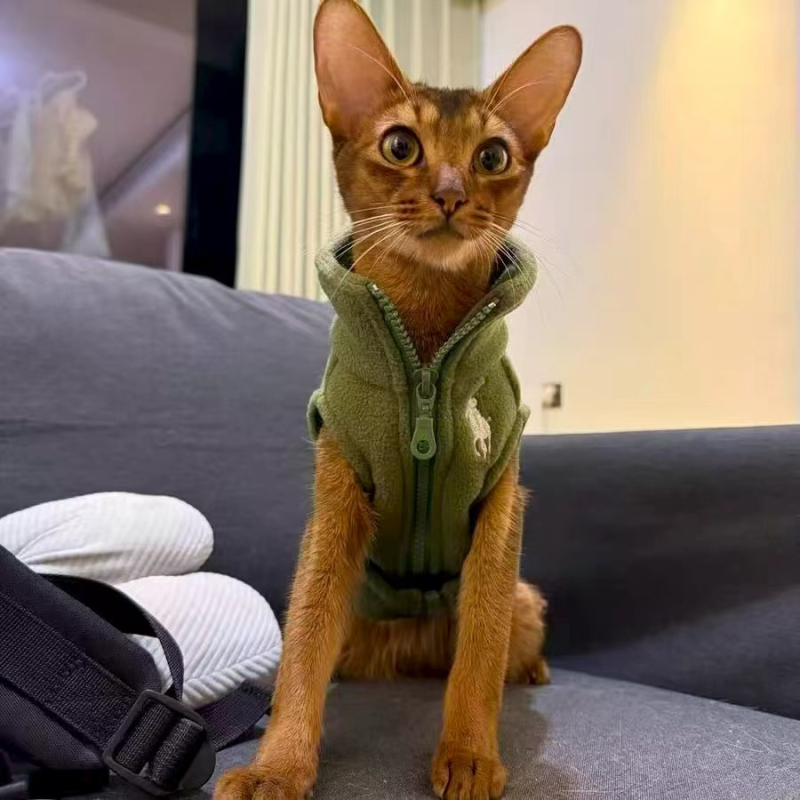 Vestă pentru animale de companie din poliester, stil relaxat, Chongyu Garment Factory