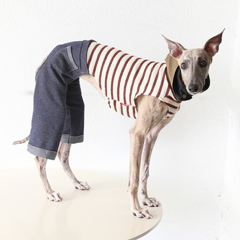 Petstyle moderna minimalistička odjeća za četveronožne pse, tkanina