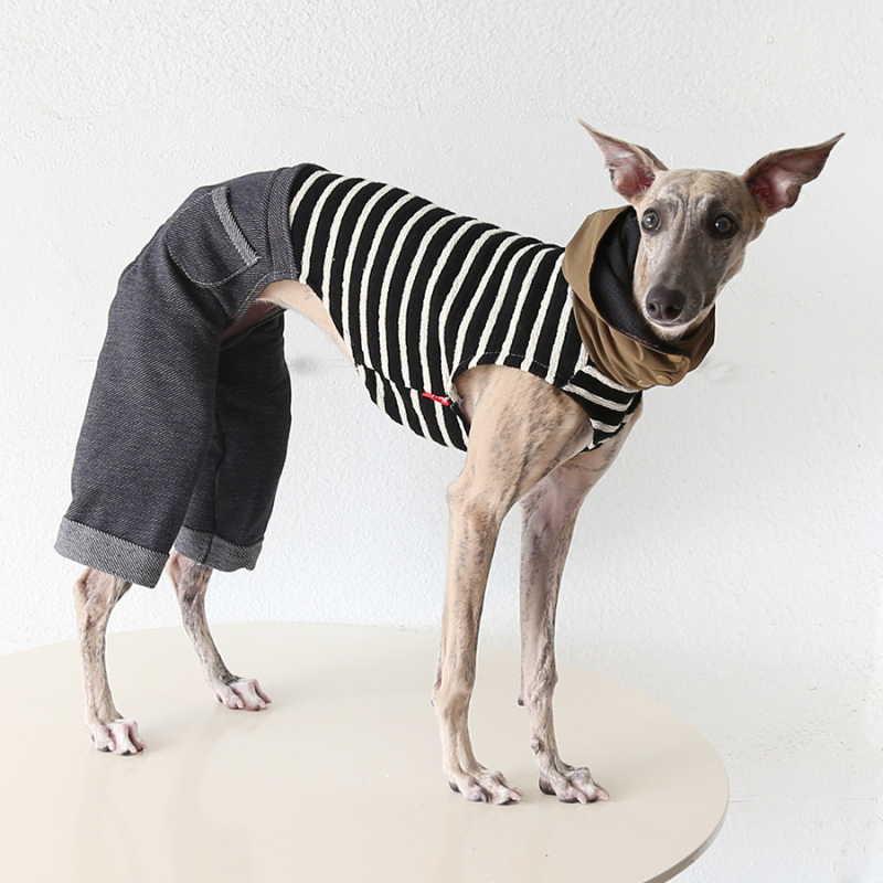 Petstyle moderna minimalistička odjeća za četveronožne pse, tkanina
