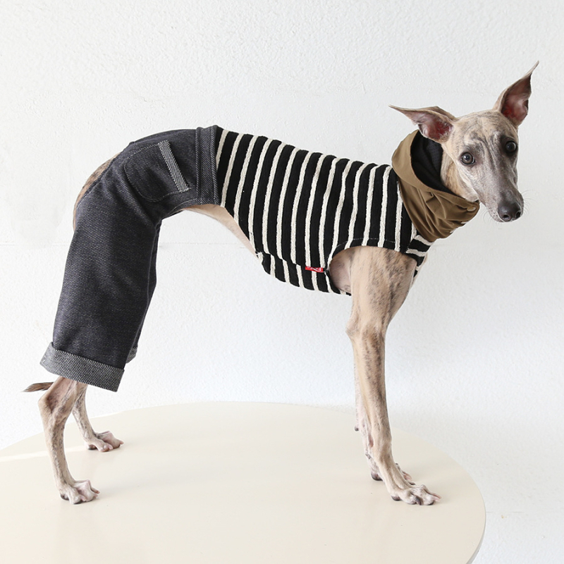 Petstyle moderna minimalistička odjeća za četveronožne pse, tkanina
