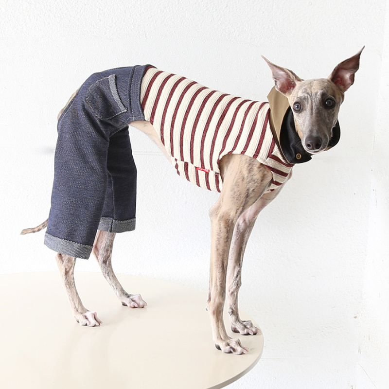 Petstyle moderna minimalistička odjeća za četveronožne pse, tkanina