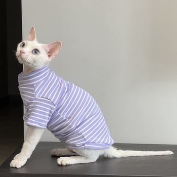 Haine pentru pisici Sphynx din poliester, pentru toamnă-iarnă, calde și izolante