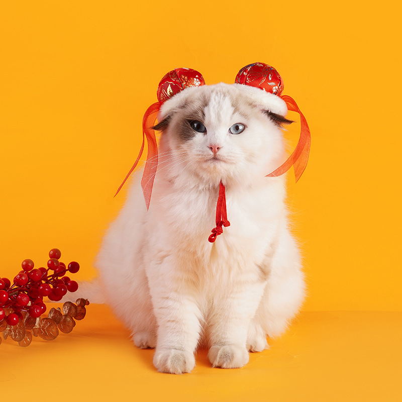 Îmbrăcăminte pentru animale de companie, design gros de iarnă, pânză nețesută, stil chinezesc, brand Jizai, origine Zhejiang Jinhua