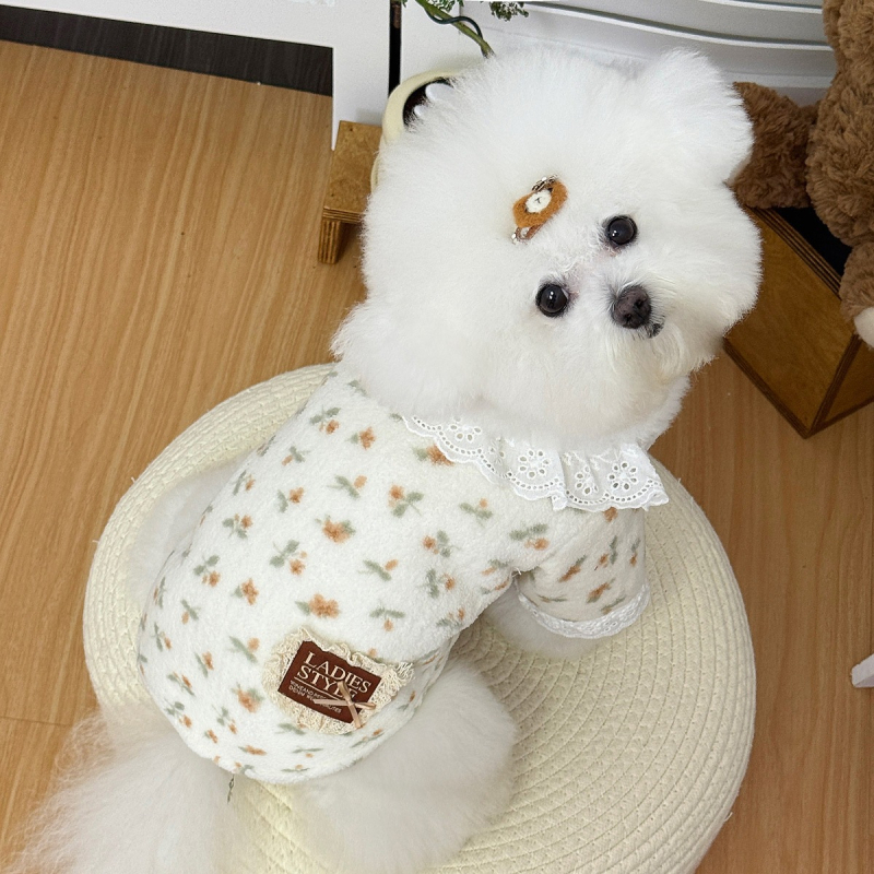 Jesensko-zimska odjeća za pse i mačke s crtić Teddy i Corgi motivom, kardigan jakna