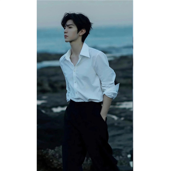 Cămașă - Croială slim, guler rever, mâneci lungi, amestec poliester 96%+.