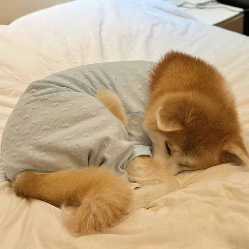 Îmbrăcăminte pentru animale de companie patru-picioare, toamnă-iarnă, poliester, croială universală