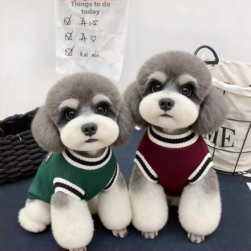 Îmbrăcăminte pentru animale de companie, stil britanic, poliester, origine Guangdong, unisex