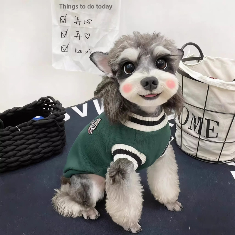 Îmbrăcăminte pentru animale de companie, stil britanic, poliester, origine Guangdong, unisex