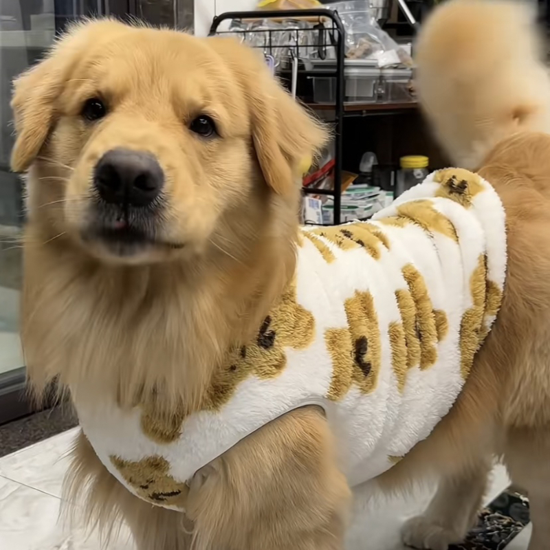 Vesta pentru câini mari din poliester, căptușită cu fleece, caldă, stil casual, unisex