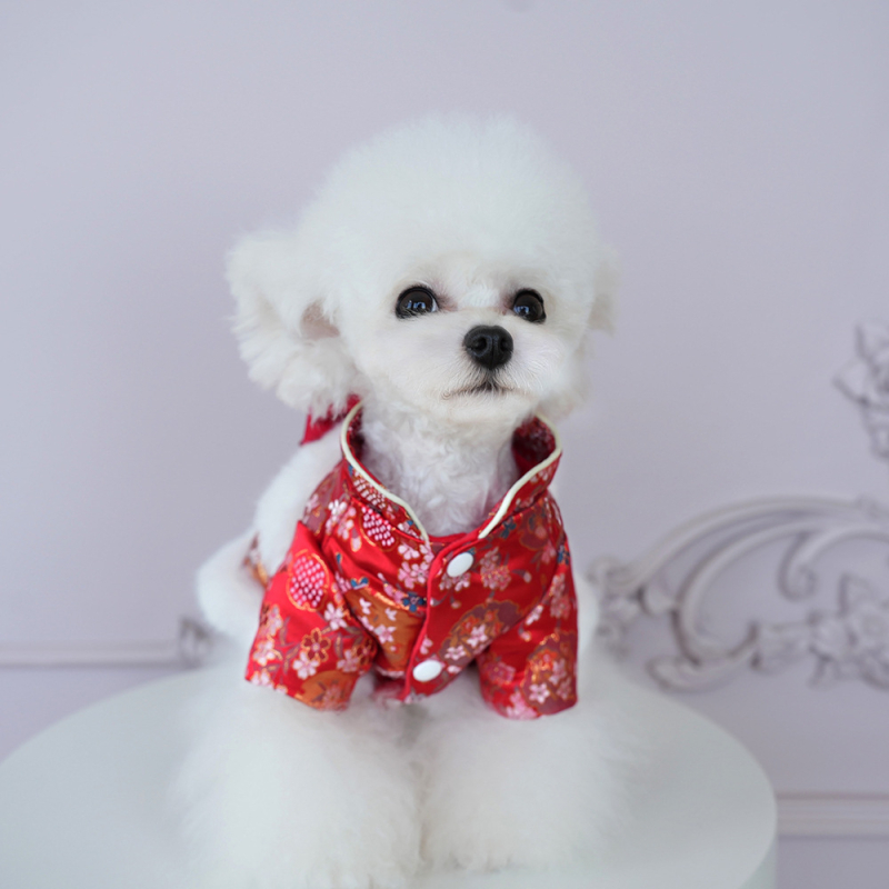 Îmbrăcăminte pentru animale de companie – stil prințesă, material acrilic, brand Lollypop pet, unisex