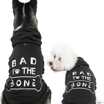 Polár anyagú kutyámellény – uniszex, szabadidős stílus, Carp treasure