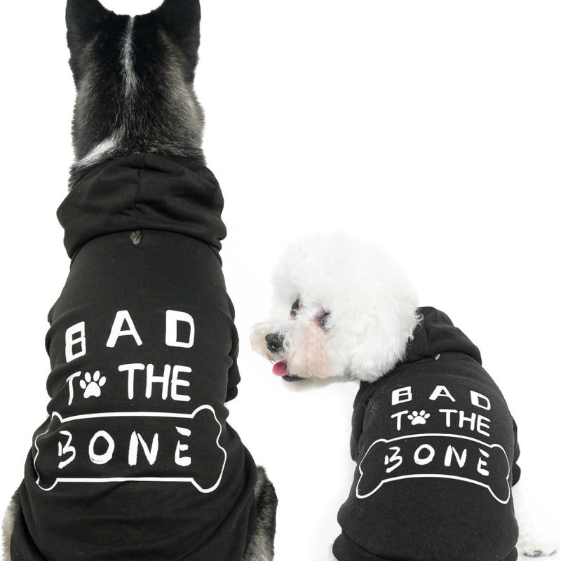 Polár anyagú kutyámellény – uniszex, szabadidős stílus, Carp treasure