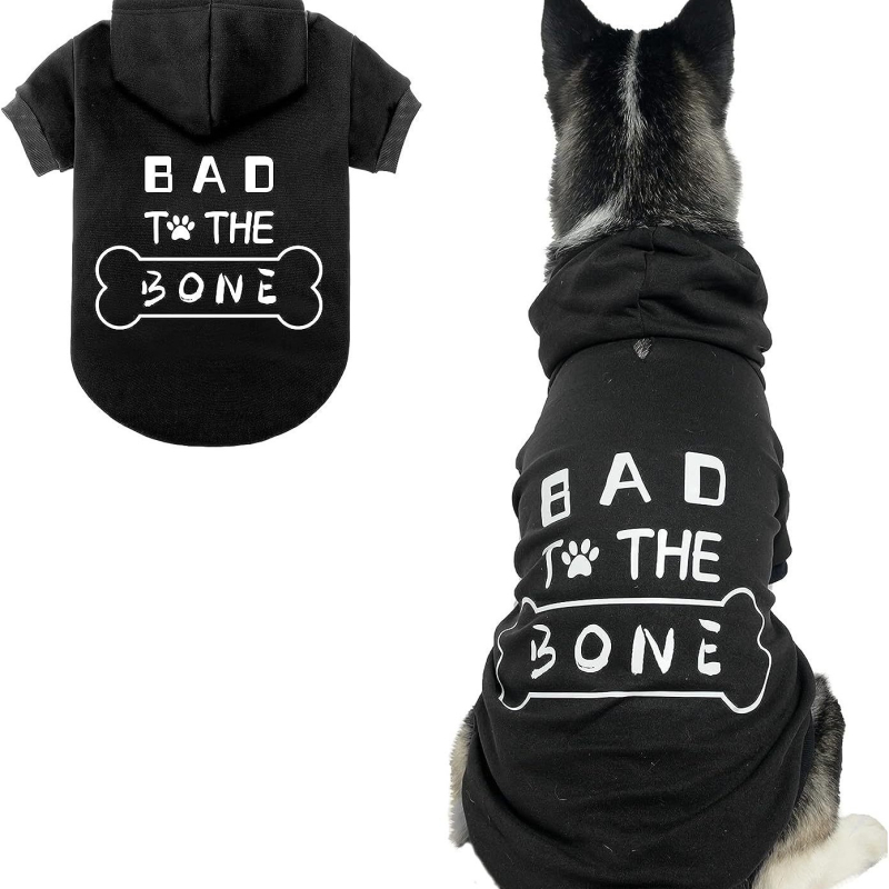 Polár anyagú kutyámellény – uniszex, szabadidős stílus, Carp treasure