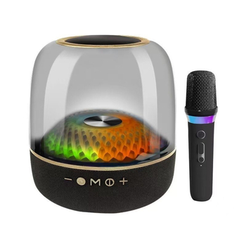 Sistem Bluetooth de boxe pentru karaoke în aer liber, stereo (Bluetooth 5.3, 120W, 4 difuzoare, subwoofer)