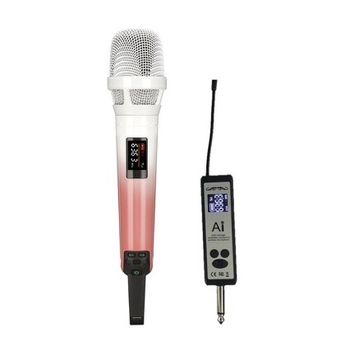 Bežični sustav mikrofona SKM9000 s dvostrukim U-Band FM KK205 Karaoke pozornica zvučni sustav