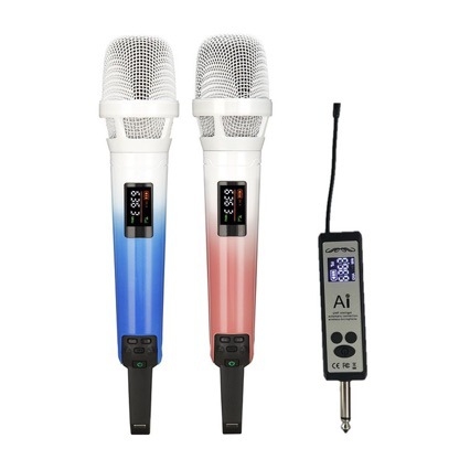 Bežični sustav mikrofona SKM9000 s dvostrukim U-Band FM KK205 Karaoke pozornica zvučni sustav