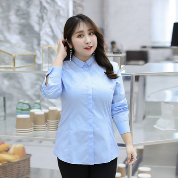 Ženska košulja s dugim rukavom, polo ovratnik, rastezljiva pamuk s 50–70% pamuka i manje od 30% elastana, elegantan uredski komad