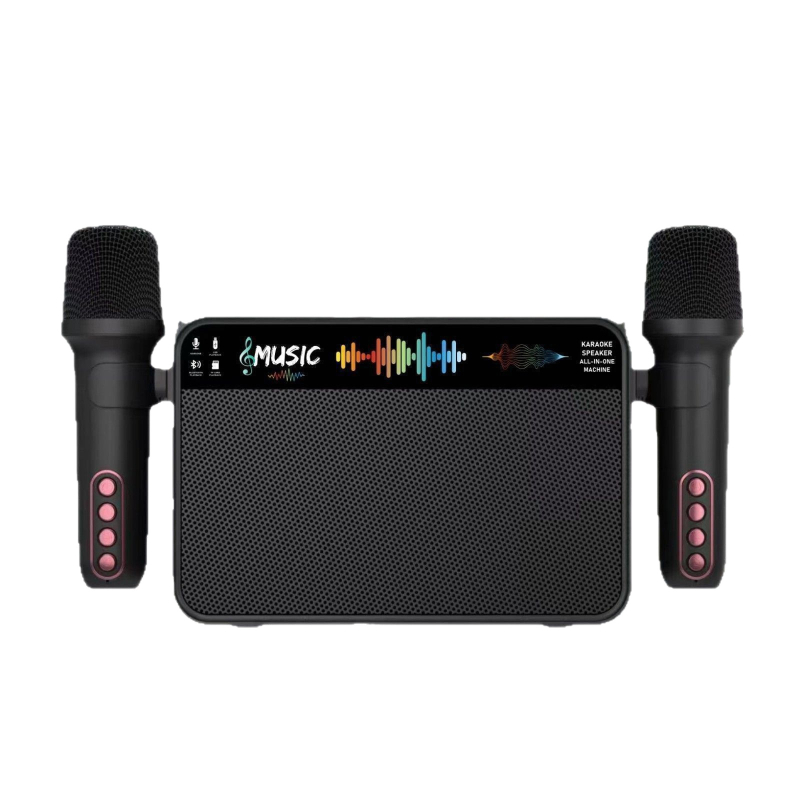 Y-19 Boxă karaoke wireless all-in-one cu două microfoane, Bluetooth 5.3, 100Hz-20kHz, 10W, baterie încorporată