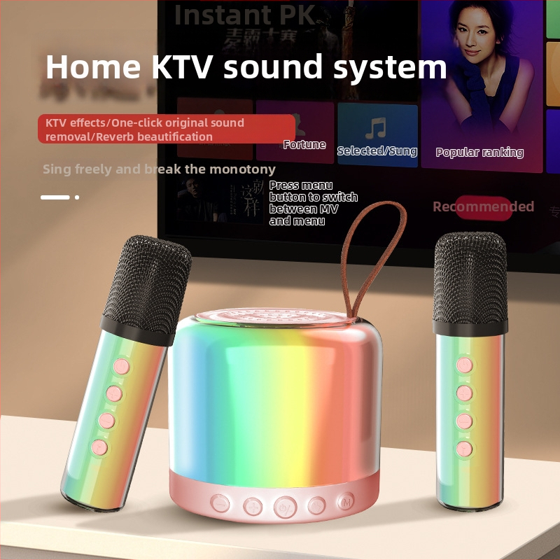 Microfon karaoke Bluetooth portabil pentru casă – difuzor all-in-one stereo, 2 difuzoare, Bluetooth 5.3, baterie încorporată 1000–1200 mAh, 10 W