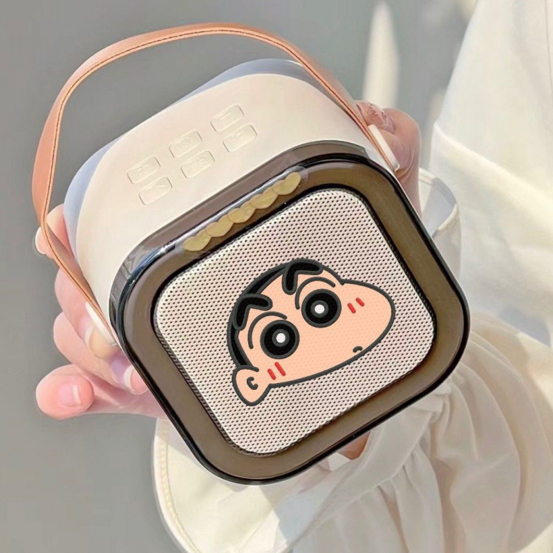 Sistem karaoke wireless cu difuzor Bluetooth și microfon – All-in-One pentru acasă; 40 Hz–20 kHz, SNR ≥100 dB, IPX4, baterie încorporată 1200–2000 mAh