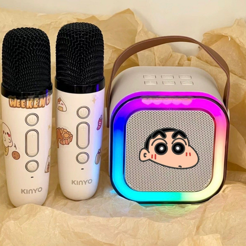 Sistem karaoke wireless cu difuzor Bluetooth și microfon – All-in-One pentru acasă; 40 Hz–20 kHz, SNR ≥100 dB, IPX4, baterie încorporată 1200–2000 mAh