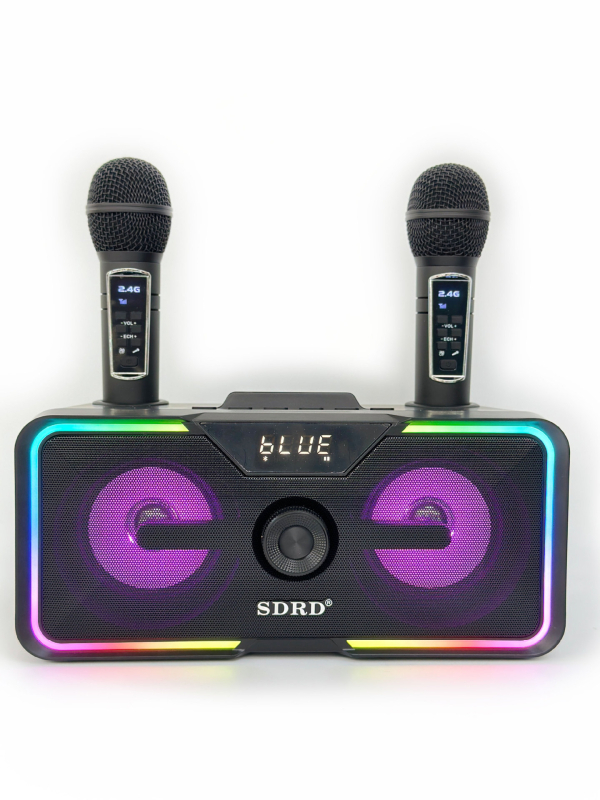 SD215 Bluetooth karaoke zvučnik All-in-One s dvostrukim mikrofonom, 30W, Bluetooth 5.0, 100Hz-20kHz, SNR ≥75 dB, trajanje 3–6h