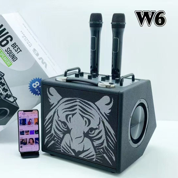 Microfon wireless pentru karaoke cu difuzor încorporat – Putere 100W, Bluetooth 5.3, Baterie 6000mAh, Gama de frecvențe 100 Hz–20 kHz