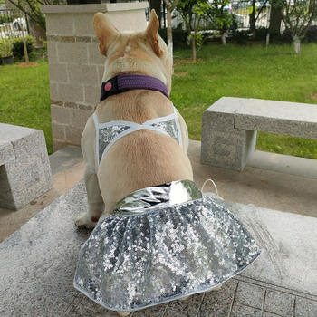 Flitteres állat bikini fürdőruha, kutyáknak és macskáknak, poliészter, Zhejiang-eredetű