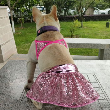 Flitteres állat bikini fürdőruha, kutyáknak és macskáknak, poliészter, Zhejiang-eredetű