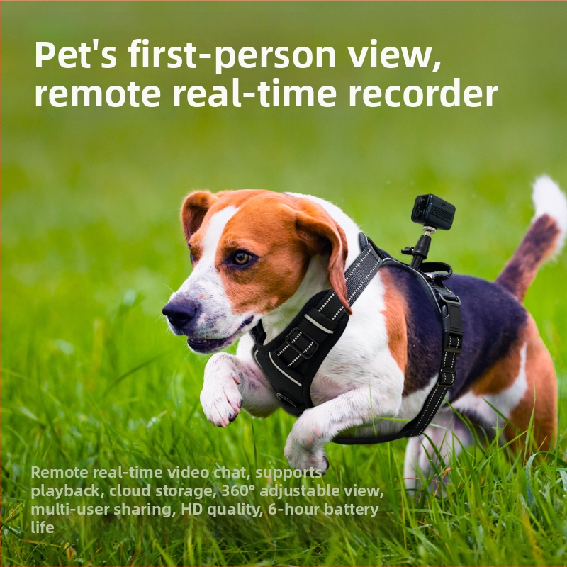 4G kamera pre domáce zviera s nákrčným pásom – 2MP, nočná vízia, dosah 10 m, microSD až do 128 GB, Android a iOS kompatibilné