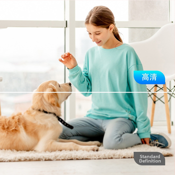 X1 Cameră — Monitorizare WiFi la Distanță, Securitate Wireless pentru Interior/Exterior; 1–5 MP, Stocare TF Card, Înregistrare video, Captură foto, Durata de Viață a Bateriei 1–3 ore