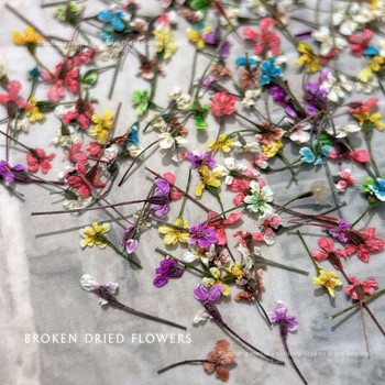 Köröm művészet dekoráció szárított virágokkal — Hercegnő sorozat, flitterek DIY körmök dekorja, virágos mintázat