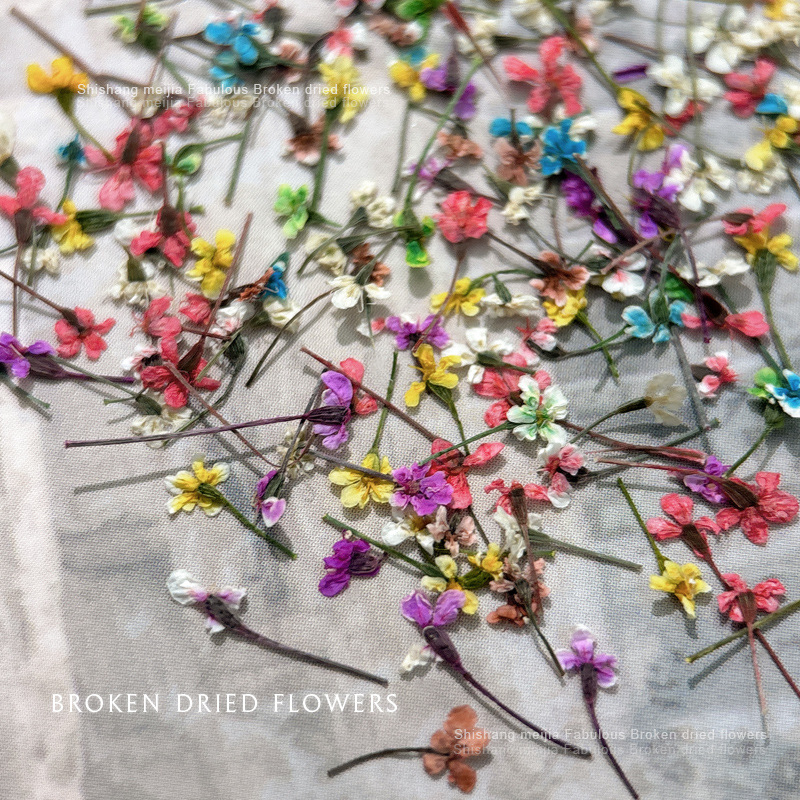 Köröm művészet dekoráció szárított virágokkal — Hercegnő sorozat, flitterek DIY körmök dekorja, virágos mintázat