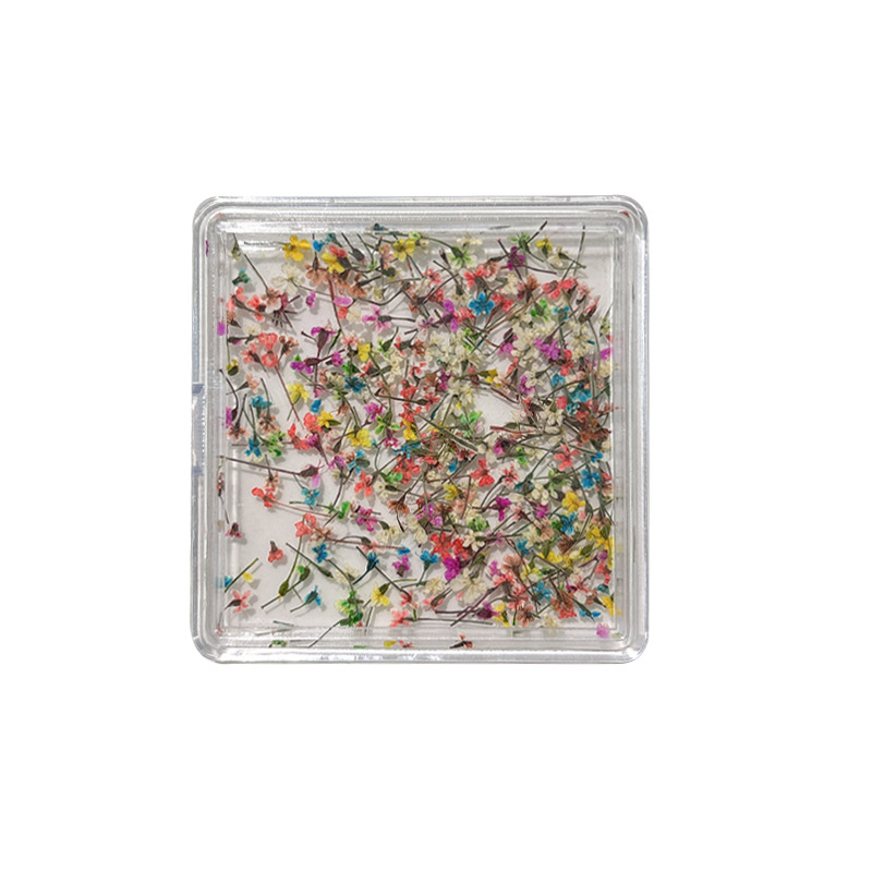 Köröm művészet dekoráció szárított virágokkal — Hercegnő sorozat, flitterek DIY körmök dekorja, virágos mintázat