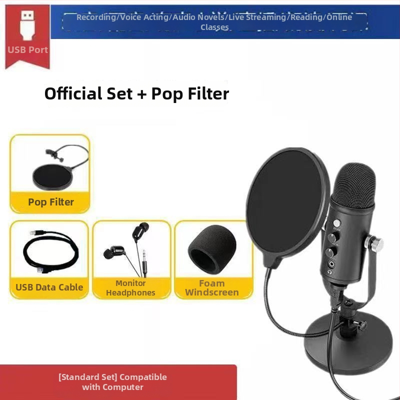 Kondenzatorski mikrofon za dubliranje s HD redukcijom šuma, za snimanje audio knjiga, uz preklopivu usmjerenost, kapsula s pokretnom zavojnicom, bez ugrađene baterije