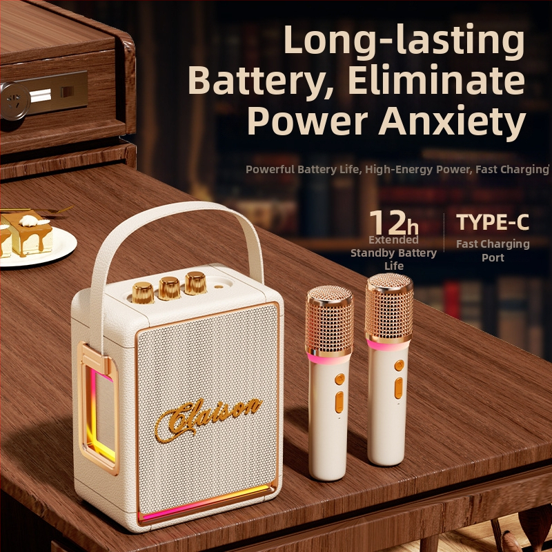 Karaoke Bluetooth reproduktor s mikrofónom, všetko v jednom, 40W, zabudovaná batéria 2000–4000mAh, Bluetooth 5.3, frekvenčný rozsah 40Hz–20kHz, IPX4, dva reproduktory, Hi‑Fi zvuk