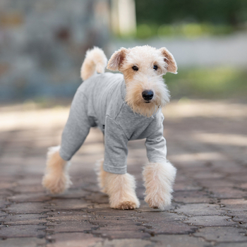 Odjeća za psa s četiri šape, poliester, INS stil, sve sezone, Marka: V·pet·b·r/Only Pet Belle