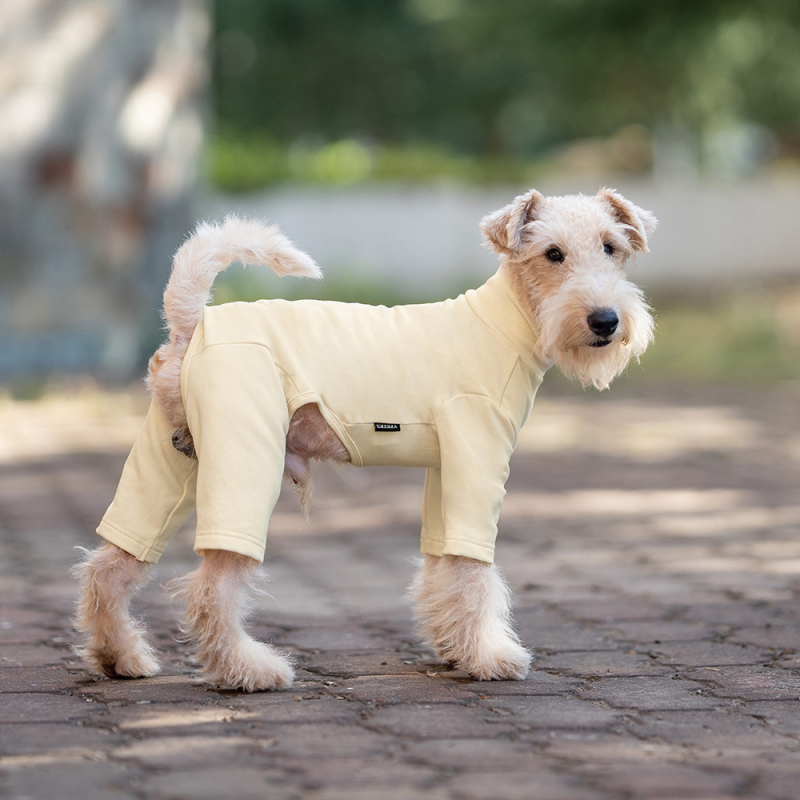 Odjeća za psa s četiri šape, poliester, INS stil, sve sezone, Marka: V·pet·b·r/Only Pet Belle