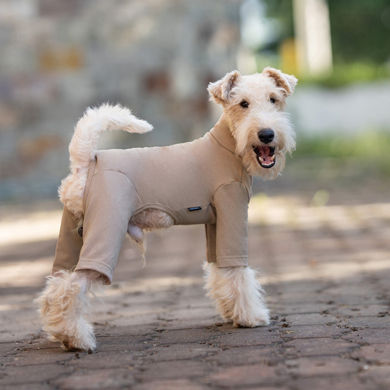 Odjeća za psa s četiri šape, poliester, INS stil, sve sezone, Marka: V·pet·b·r/Only Pet Belle