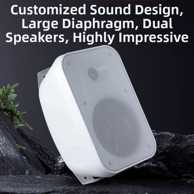 Difuzor montat pe perete 40W/60W, 2 canale, intervalul de frecvență 100 Hz–20 kHz, conectare prin cablu